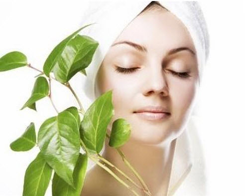 number 7-free sample-uk number 7-free sample-uk