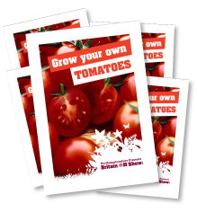 promotion_side_3