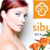 sibu-facebook-FREE sibu-facebook-FREE